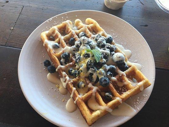 Equator Coffees & Teas